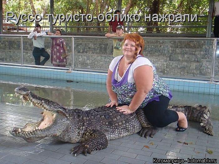 Котоматрица: Руссо туристо-облико нажрали.