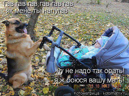 Гав гав гав,гав гав гав як мене ты напугав ну не надо так орать! я ж боюся вашу мать!... Котоматрица: Гав гав гав,гав гав гав як мене ты напугав ну не надо так орать! я ж боюся вашу мать!