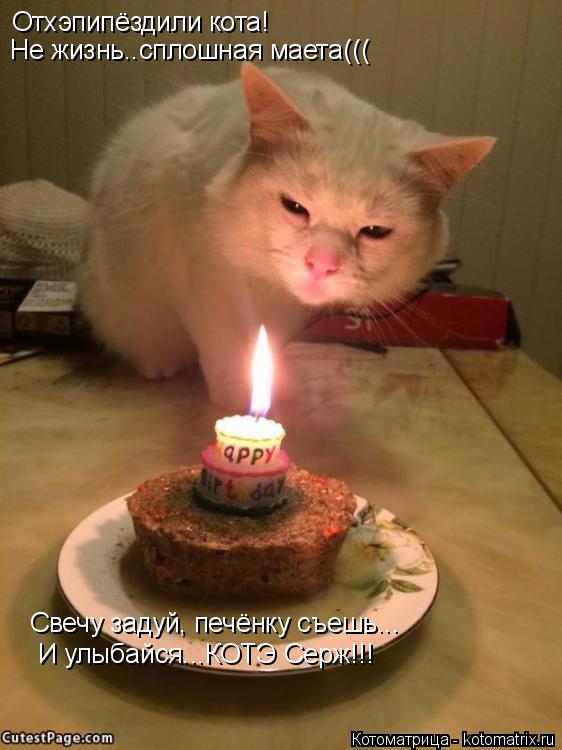Отхэпипёздили кота! Не жизнь..сплошная маета((( Свечу задуй, печёнку съешь... И улыбайся...КОТЭ Серж!... Котоматрица: Отхэпипёздили кота! Не жизнь..сплошная маета((( Свечу задуй, печёнку съешь... И улыбайся...КОТЭ Серж!!!