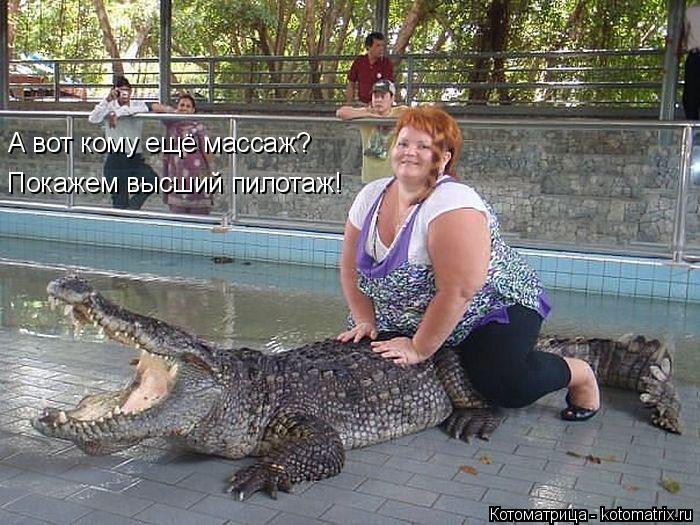 А вот кому ещё массаж? Покажем высший пилотаж!... Котоматрица: А вот кому ещё массаж? Покажем высший пилотаж!