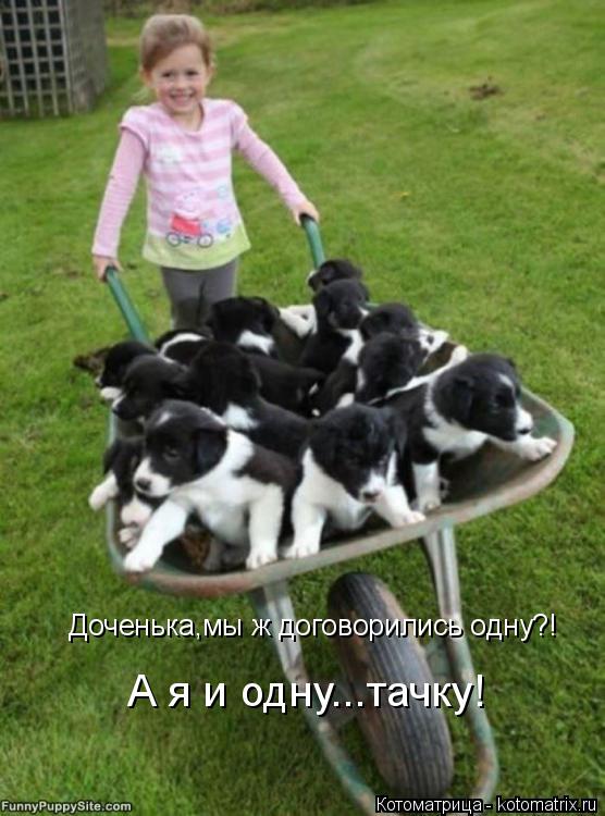 Доченька,мы ж договорились одну?! А я и одну...тачку!... Котоматрица: Доченька,мы ж договорились одну?! А я и одну...тачку!