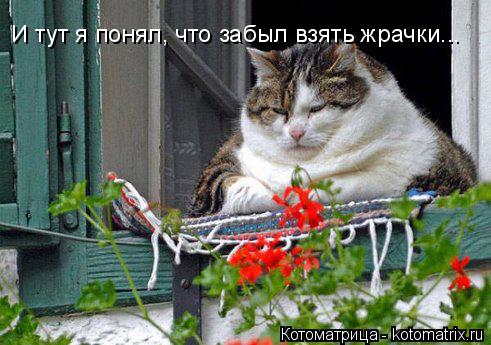Котоматрица: И тут я понял, что забыл взять жрачки...