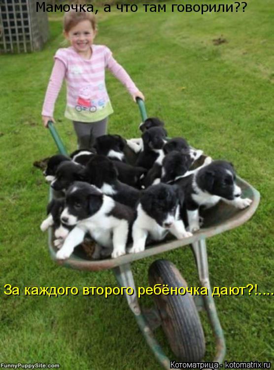 Мамочка, а что там говорили?? За каждого второго ребёночка дают?!....... Котоматрица: Мамочка, а что там говорили?? За каждого второго ребёночка дают?!....