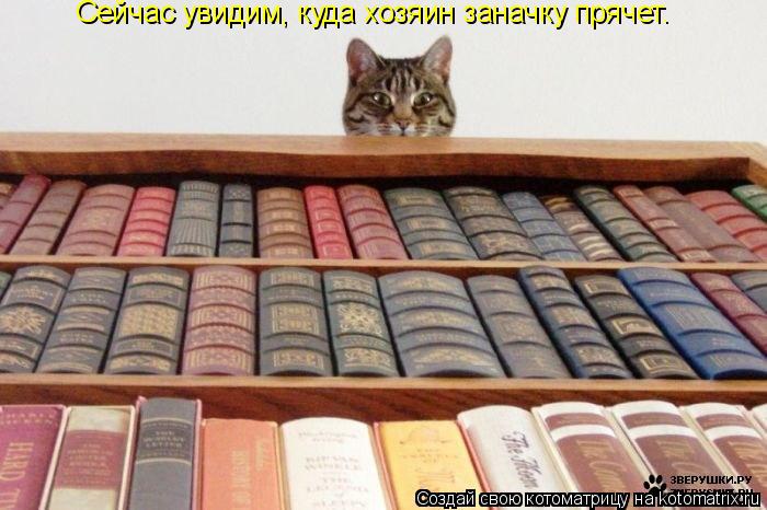 Котоматрица: Сейчас увидим, куда хозяин заначку прячет.