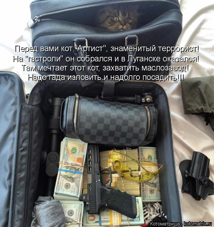 Перед вами кот "Артист", знаменитый террорист! На "гастроли" он собрался и в Луганске оказался! Надо... Котоматрица: Перед вами кот "Артист", знаменитый террорист! На "гастроли" он собрался и в Луганске оказался! Надо гада изловить и надолго посадить!!! Там м