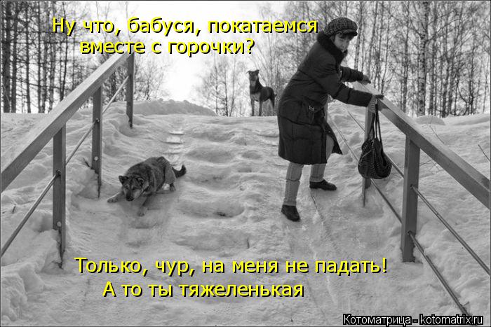 Ну что, бабуся, покатаемся вместе с горочки? Только, чур, на меня не падать! А то ты тяжеленькая... Котоматрица: Ну что, бабуся, покатаемся вместе с горочки? Только, чур, на меня не падать! А то ты тяжеленькая