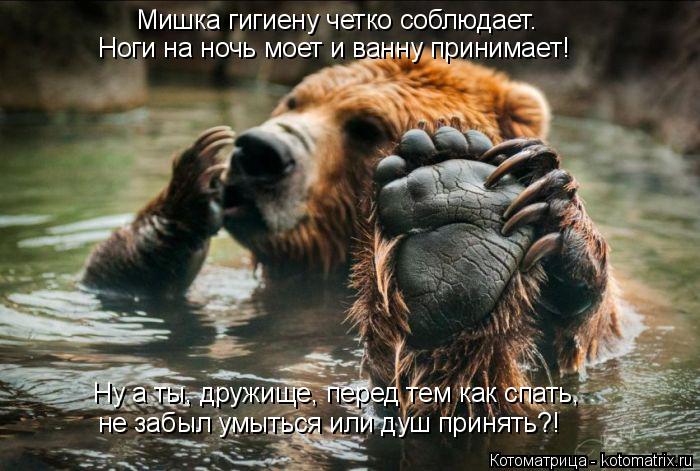 Мишка гигиену четко соблюдает. Ноги на ночь моет и ванну принимает! Ну а ты, дружище, перед тем как с... Котоматрица: Мишка гигиену четко соблюдает. Ноги на ночь моет и ванну принимает! Ну а ты, дружище, перед тем как спать, не забыл умыться или душ принять?!