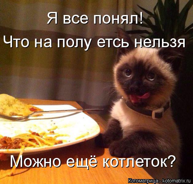 Я все понял! Что на полу етсь нельзя Можно ещё котлеток?... Котоматрица: Я все понял! Что на полу етсь нельзя Можно ещё котлеток?