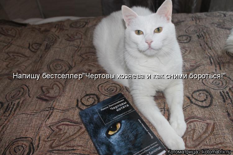 Напишу бестселлер"Чертовы хозяева и как сними бороться!"... Котоматрица: Напишу бестселлер"Чертовы хозяева и как сними бороться!"