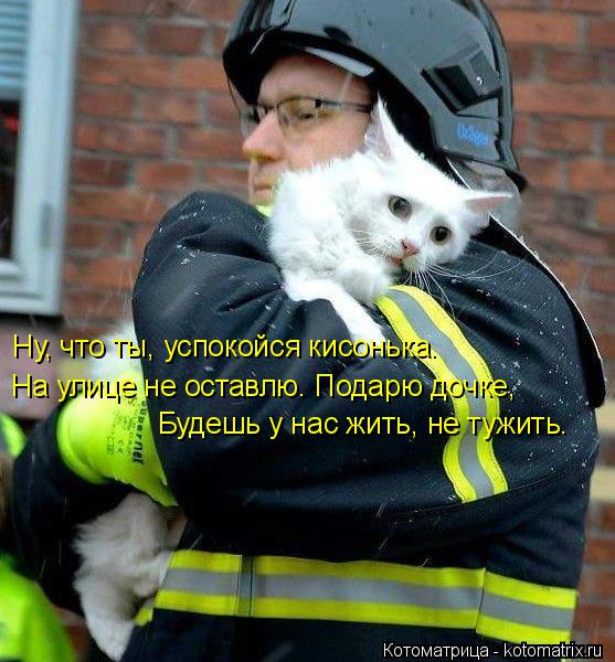 Ну, что ты, успокойся кисонька. На улице не оставлю. Подарю дочке, Будешь у нас жить, не тужить.... Котоматрица: Ну, что ты, успокойся кисонька. На улице не оставлю. Подарю дочке, Будешь у нас жить, не тужить.