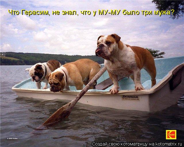Котоматрица: Что Герасим, не знал, что у МУ-МУ было три мужа?
