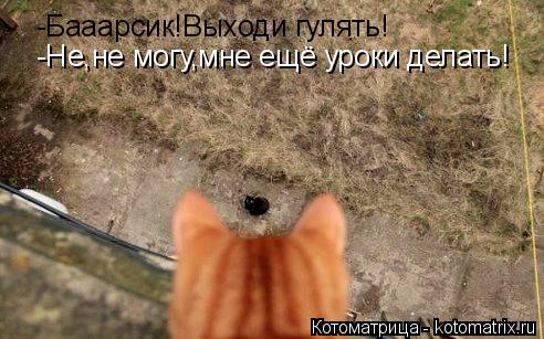 -Бааарсик!Выходи гулять! -Не,не могу,мне ещё уроки делать!... Котоматрица: -Бааарсик!Выходи гулять! -Не,не могу,мне ещё уроки делать!