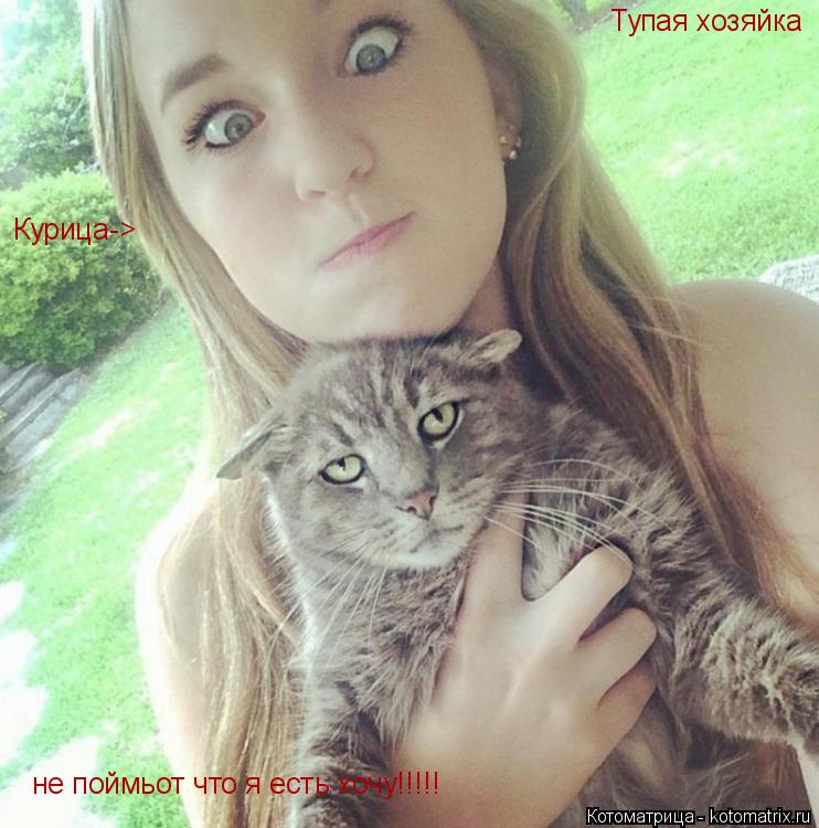 Тупая хозяйка не поймьот что я есть хочу!!!!! Курица->... Котоматрица: Тупая хозяйка не поймьот что я есть хочу!!!!! Курица->