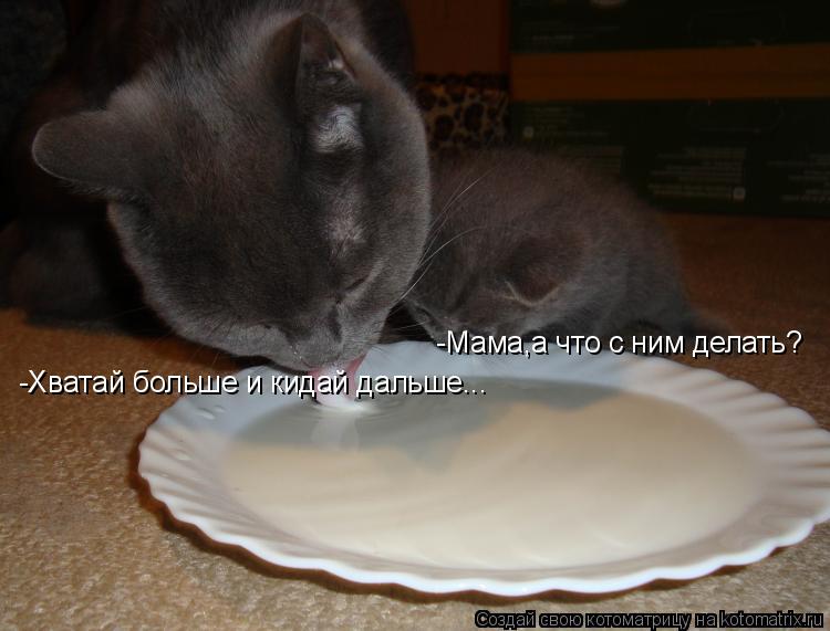 -Мама,а что с ним делать? -Хватай больше и кидай дальше...... Котоматрица: -Мама,а что с ним делать? -Хватай больше и кидай дальше...