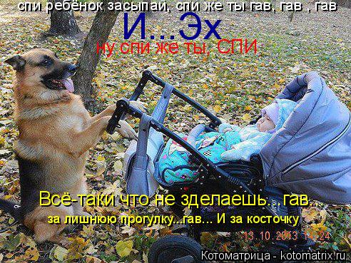 И...Эх Всё-таки что не зделаешь...гав... за лишнюю прогулку...гав... И за косточку ну спи же ты, СПИ ... Котоматрица: И...Эх Всё-таки что не зделаешь...гав... за лишнюю прогулку...гав... И за косточку ну спи же ты, СПИ спи ребёнок засыпай, спи же ты гав, гав , гав