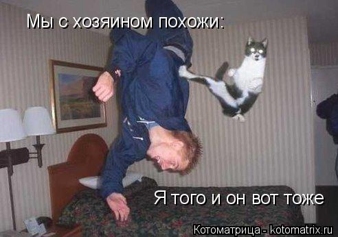 Мы с хозяином похожи: Я того и он вот тоже... Котоматрица: Мы с хозяином похожи: Я того и он вот тоже