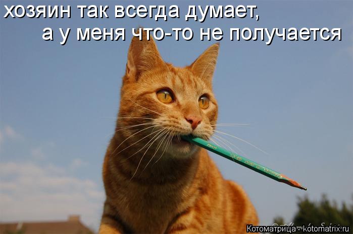хозяин так всегда думает, а у меня что-то не получается... Котоматрица: хозяин так всегда думает, а у меня что-то не получается