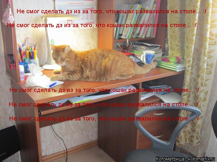 Котоматрица: Не смог сделать дз из за того, что кошак развалился на столе... :/ Не смог сделать дз из за того, что кошак развалился на столе... :/ Не смог сдела