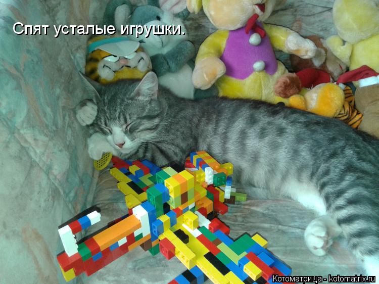 Спят усталые игрушки.... Котоматрица: Спят усталые игрушки.