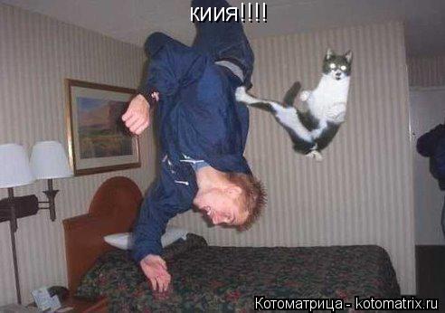 киия!!!!... Котоматрица: киия!!!!
