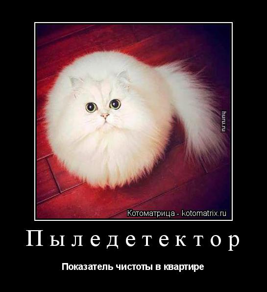 Пыледетектор Показатель чистоты в квартире... Котоматрица: Пыледетектор Показатель чистоты в квартире