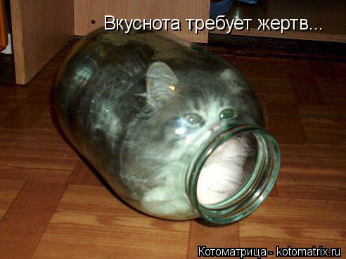 Вкуснота требует жертв...... Котоматрица: Вкуснота требует жертв...