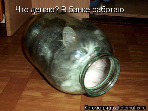 Что делаю? В банке работаю... Котоматрица: Что делаю? В банке работаю
