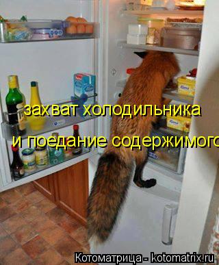 захват холодильника и поедание содержимого... Котоматрица: захват холодильника и поедание содержимого