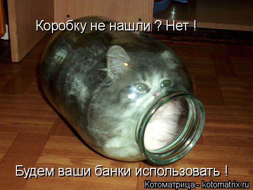 Коробку не нашли ? Нет ! Будем ваши банки использовать !... Котоматрица: Коробку не нашли ? Нет ! Будем ваши банки использовать !