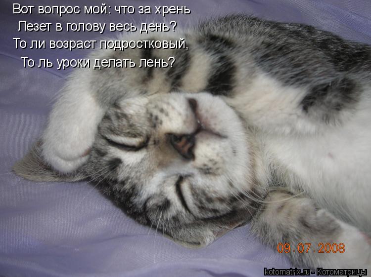 Вот вопрос мой: что за хрень Лезет в голову весь день? То ли возраст подростковый, То ль уроки делать... Котоматрица: Вот вопрос мой: что за хрень Лезет в голову весь день? То ли возраст подростковый, То ль уроки делать лень?