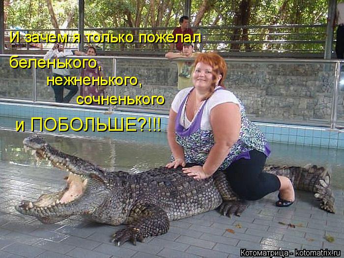 Котоматрица: И зачем я только пожелал беленького, нежненького, сочненького и ПОБОЛЬШЕ?!!!