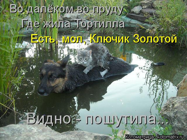 Во далёком во пруду Где жила Тортилла Есть, мол, Ключик Золотой Видно - пошутила...... Котоматрица: Во далёком во пруду Где жила Тортилла Есть, мол, Ключик Золотой Видно - пошутила...