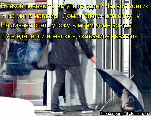 В такой ливень ты на улице один? На, вот, зонтик, Я на миг в магазин! Дома полотенцем обсушу, На ди... Котоматрица: В такой ливень ты на улице один? На, вот, зонтик, Я на миг в магазин! Дома полотенцем обсушу, На диване спать уложу, в моём доме всегда Есть ед