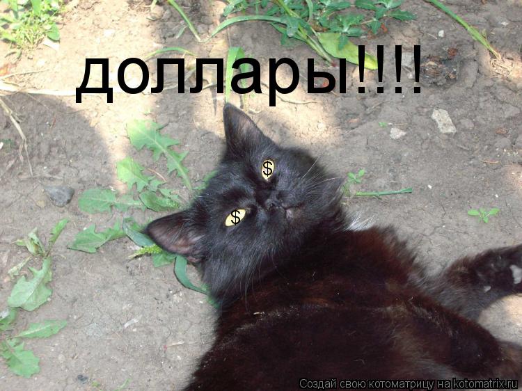 $ $ доллары!!!!... Котоматрица: $ $ доллары!!!!