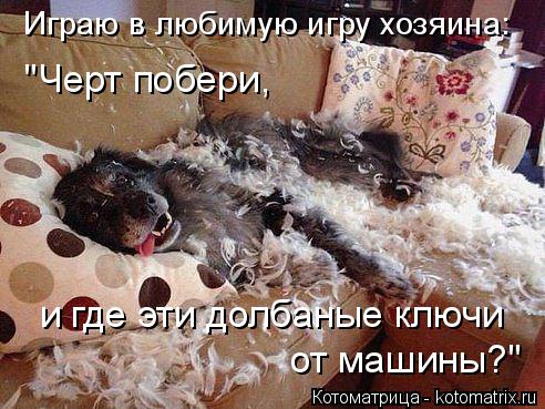 Играю в любимую игру хозяина: "Черт побери, и где эти долбаные ключи от машины?"... Котоматрица: Играю в любимую игру хозяина: "Черт побери, и где эти долбаные ключи от машины?"