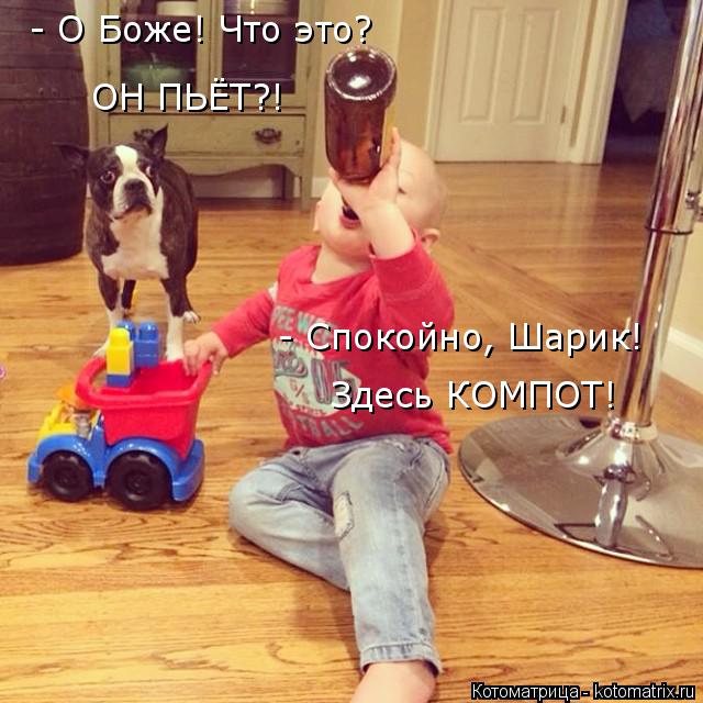 Котоматрица: - О Боже! Что это? ОН ПЬЁТ?! - Спокойно, Шарик! Здесь КОМПОТ!