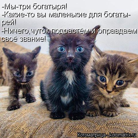 Котоматрица: -Мы-три богатыря! -Какие-то вы маленькие для богаты- рей! -Ничего,чуток подрастём-и оправдаем своё звание!
