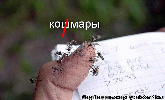 кошмары /... Котоматрица: кошмары /