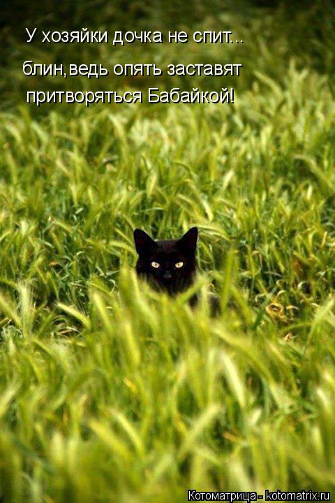 Котоматрица: блин,ведь опять заставят  притворяться Бабайкой! У хозяйки дочка не спит...