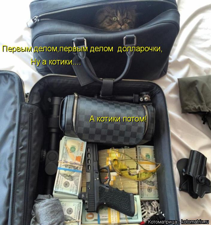 Первым делом,первым делом долларочки, Ну а котики.... А котики потом!... Котоматрица: Первым делом,первым делом долларочки, Ну а котики.... А котики потом!