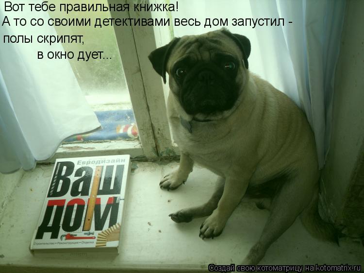 Вот тебе правильная книжка! А то со своими детективами весь дом запустил - полы скрипят, в окно дует.... Котоматрица: Вот тебе правильная книжка! А то со своими детективами весь дом запустил - полы скрипят, в окно дует...