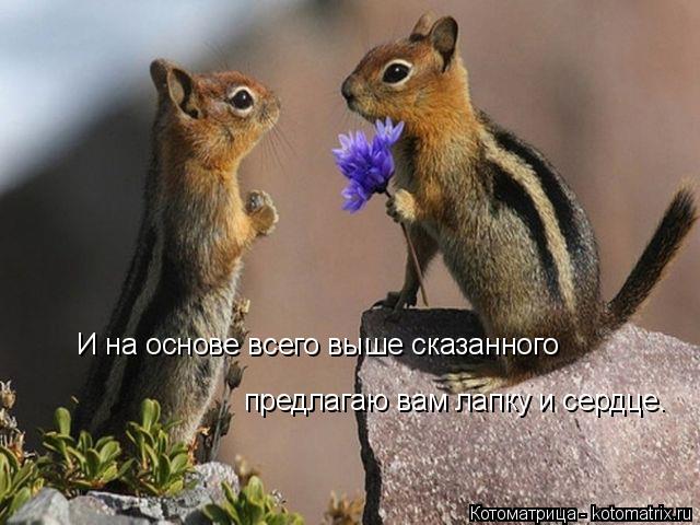 И на основе всего выше сказанного предлагаю вам лапку и сердце.... Котоматрица: И на основе всего выше сказанного предлагаю вам лапку и сердце.