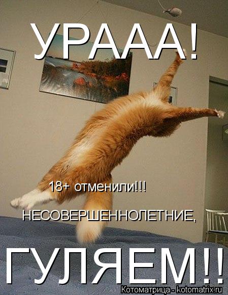 УРААА! 18+ отменили!!! НЕСОВЕРШЕННОЛЕТНИЕ, ГУЛЯЕМ!!!... Котоматрица: УРААА! 18+ отменили!!! НЕСОВЕРШЕННОЛЕТНИЕ, ГУЛЯЕМ!!!