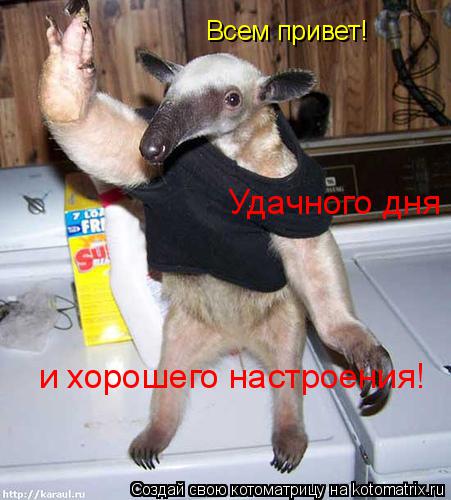 Всем привет! Удачного дня и хорошего настроения!... Котоматрица: Всем привет! Удачного дня и хорошего настроения!