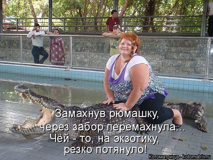 Котоматрица: Замахнув рюмашку, Чёй - то, на экзотику, резко потянуло! через забор перемахнула...