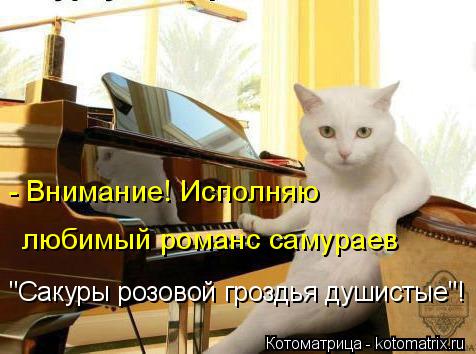 - Внимание! Исполняю любимый романс самураев "Сакуры розовой гроздья душистые"!... Котоматрица: - Внимание! Исполняю любимый романс самураев "Сакуры розовой гроздья душистые"!