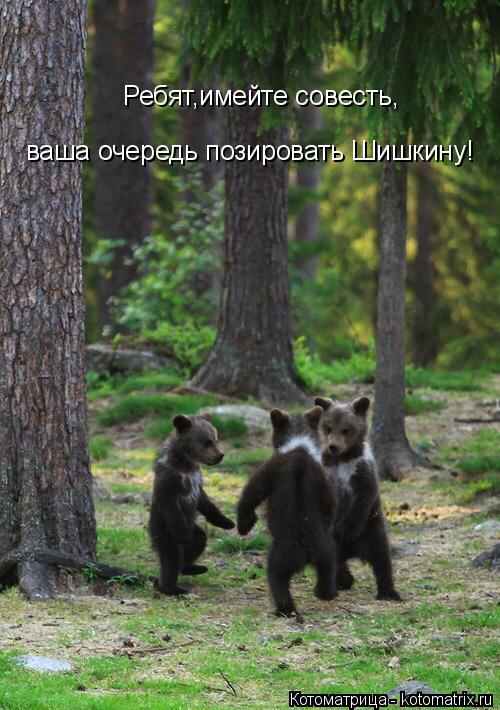 Котоматрица: Ребят,имейте совесть, ваша очередь позировать Шишкину!