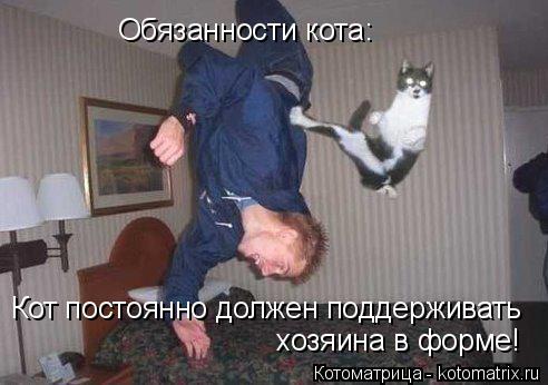 хозяина в форме! Кот постоянно должен поддерживать Обязанности кота:... Котоматрица: хозяина в форме! Кот постоянно должен поддерживать Обязанности кота: