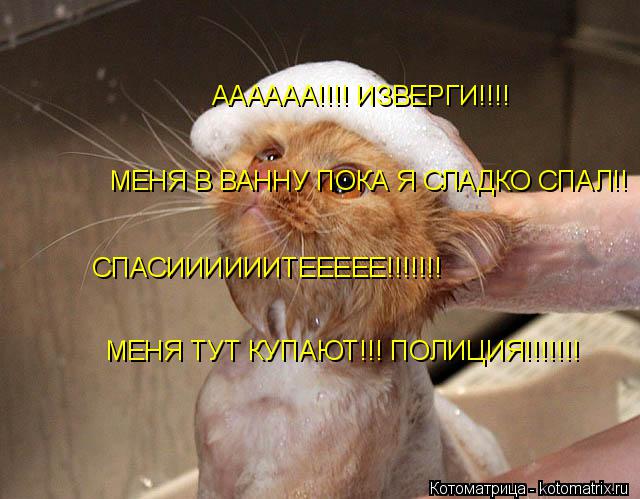 АААААА!!!! ИЗВЕРГИ!!!! МЕНЯ В ВАННУ ПОКА Я СЛАДКО СПАЛ!! СПАСИИИИИИТЕЕЕЕЕ!!!!!!! МЕНЯ ТУТ КУПАЮТ!!! П... Котоматрица: АААААА!!!! ИЗВЕРГИ!!!! МЕНЯ В ВАННУ ПОКА Я СЛАДКО СПАЛ!! СПАСИИИИИИТЕЕЕЕЕ!!!!!!! МЕНЯ ТУТ КУПАЮТ!!! ПОЛИЦИЯ!!!!!!!