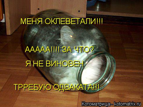 ААААА!!!! ЗА ЧТО? Я НЕ ВИНОВЕН ТРРЕБУЮ ОДВАКАТА!!! МЕНЯ ОКЛЕВЕТАЛИ!!!... Котоматрица: ААААА!!!! ЗА ЧТО? Я НЕ ВИНОВЕН ТРРЕБУЮ ОДВАКАТА!!! МЕНЯ ОКЛЕВЕТАЛИ!!!